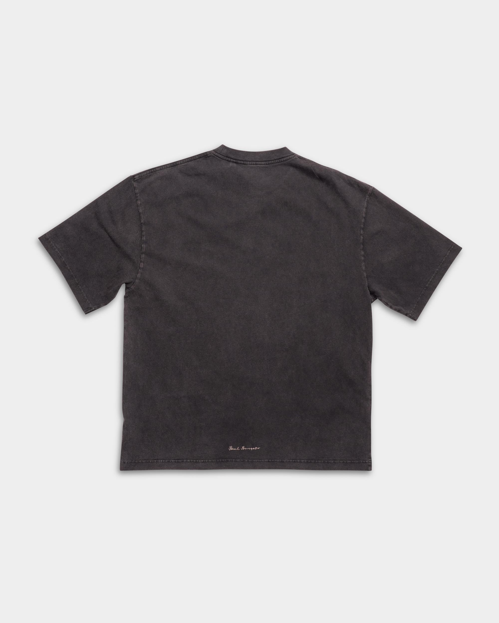 Axel Arigato Men's Flow T Shirt | A3863002-Black