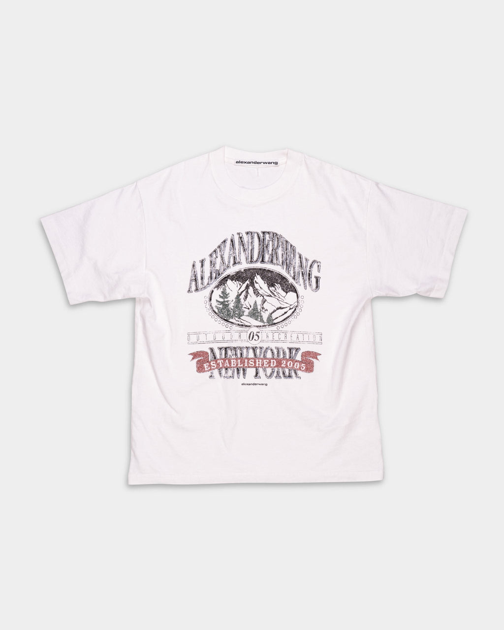 Alexander Wang Short Sleeve T Shirt w/ Graphic Vintage White | UCC4251851-120