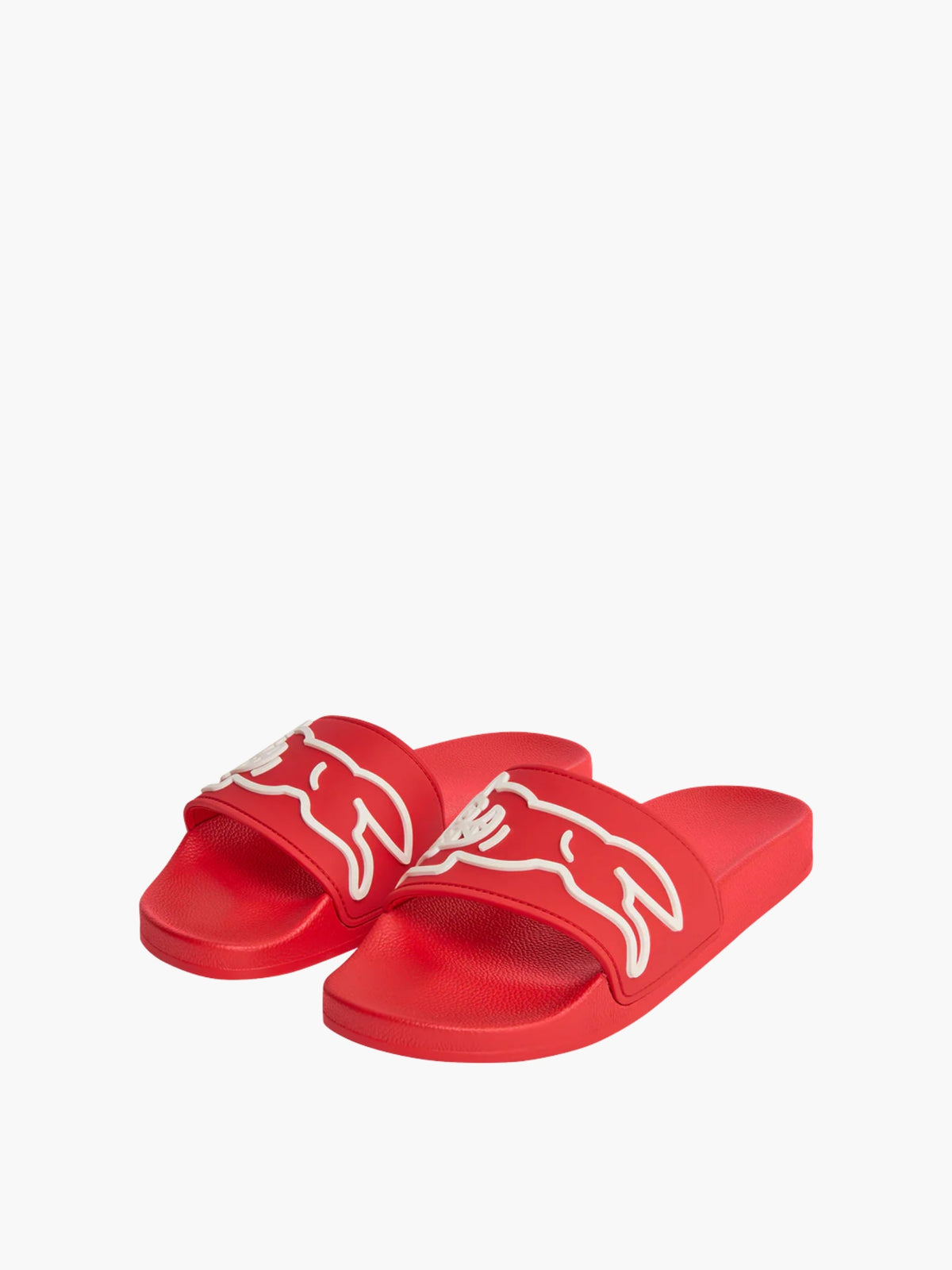 Ice-cream Slides Dog Sliders Bbcsl10 Red