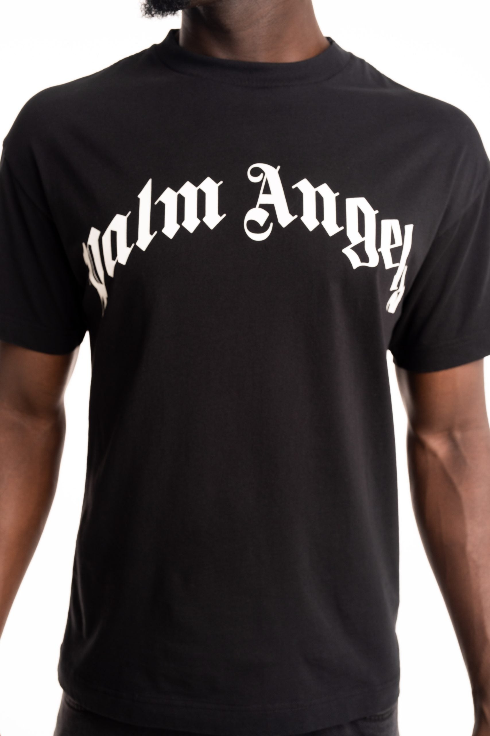 Palm Angels Men's Curved Logo Regular Tee | PMAA109S26JER00G-1003