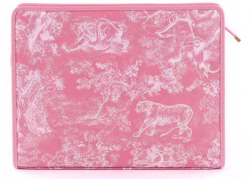 Dior 30 Montaigne Pink Toile de Jouy Pochette Clutch