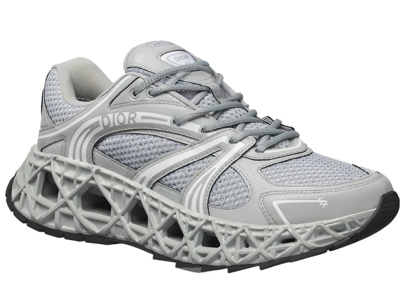 Dior B35 NXXT Gray
