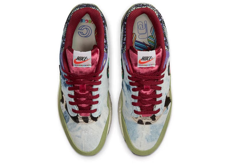Nike Air Max 1 SP Concepts Mellow