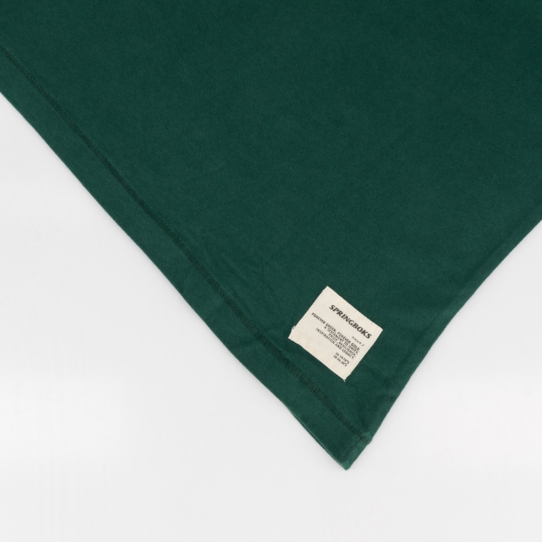 Springboks HS Sml Logo L Crew Tee-OS Green