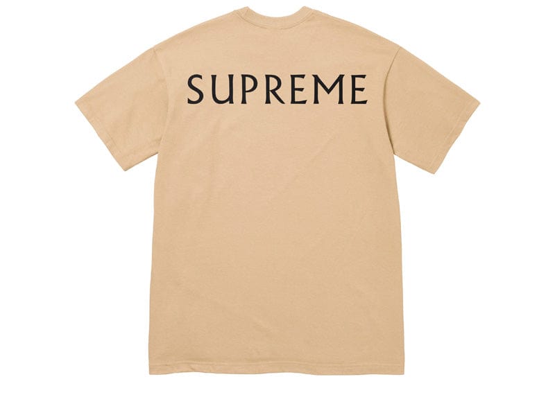 Supreme Damien Hirst Tee Khaki