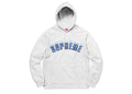 Supreme Icy Arc Hooded Sweatshirt Ash Grey